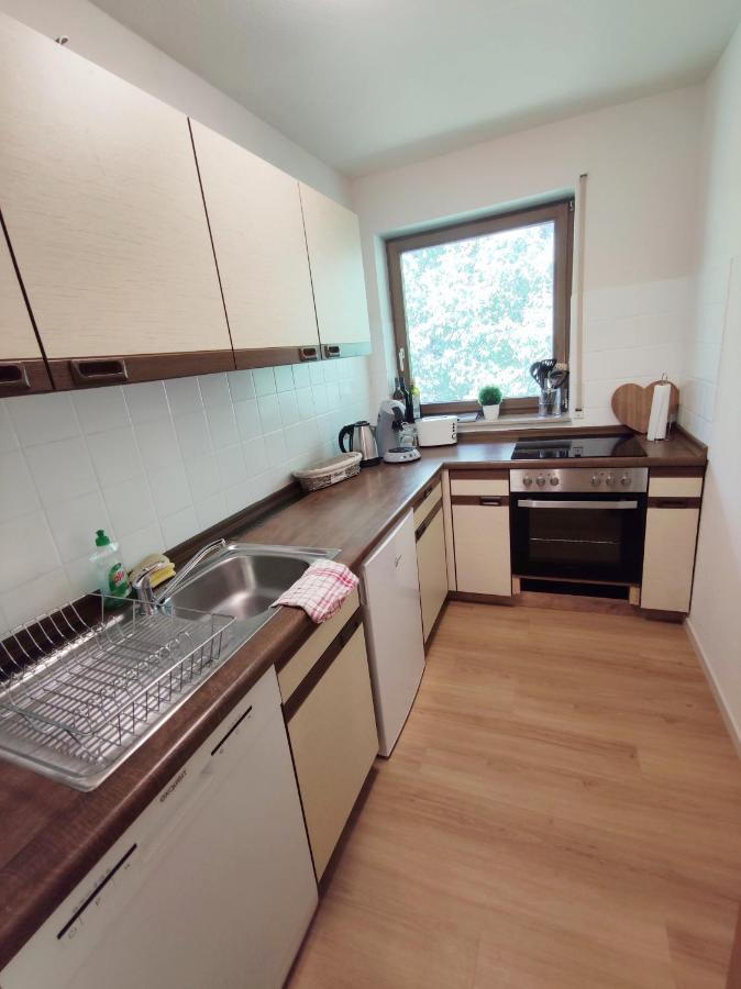 Apartament Black Forest Living - Todtnauberg Zewnętrze zdjęcie